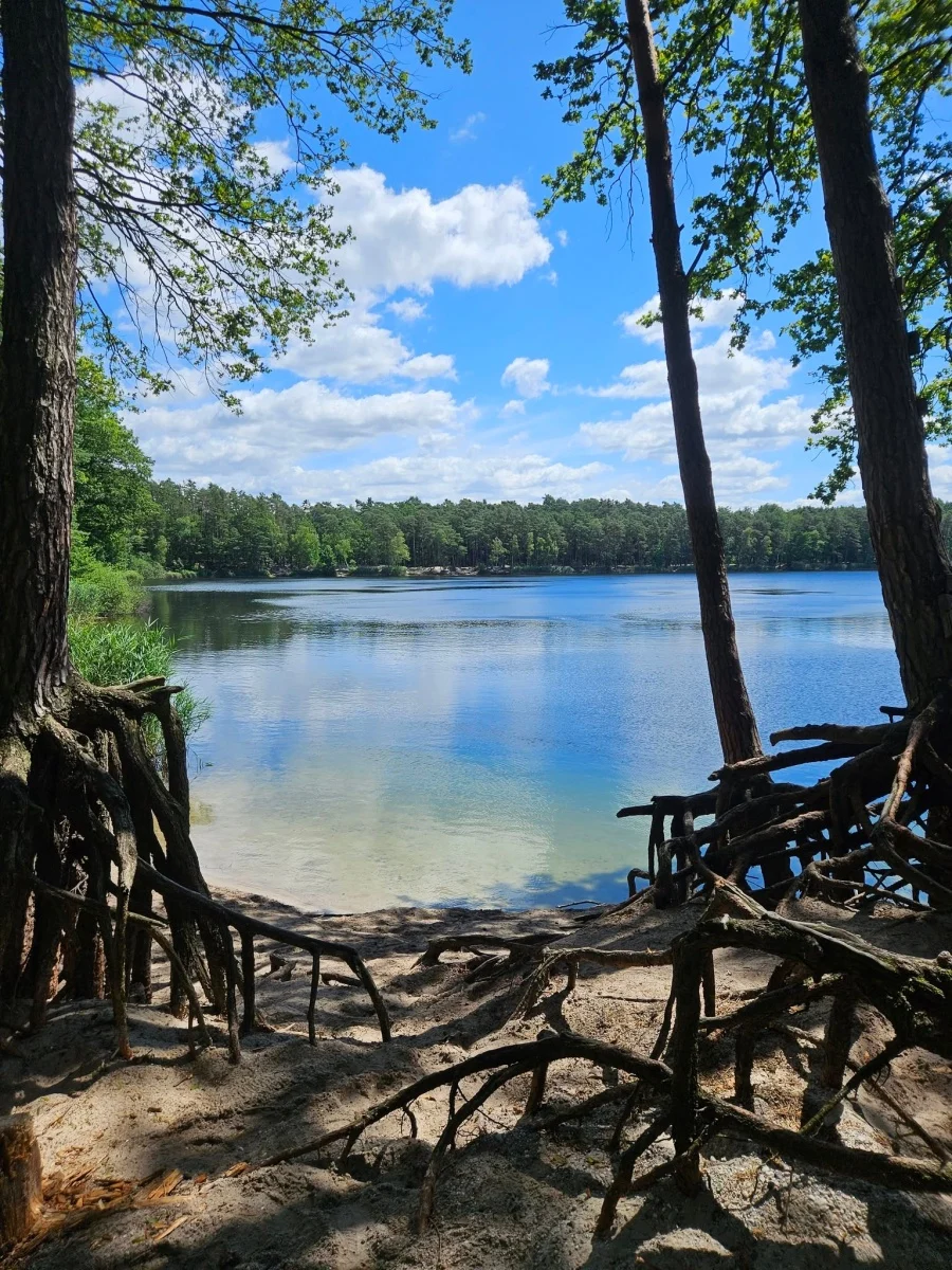 Tak Rudzianie spędzają wakacje / fot. Czytelnicy