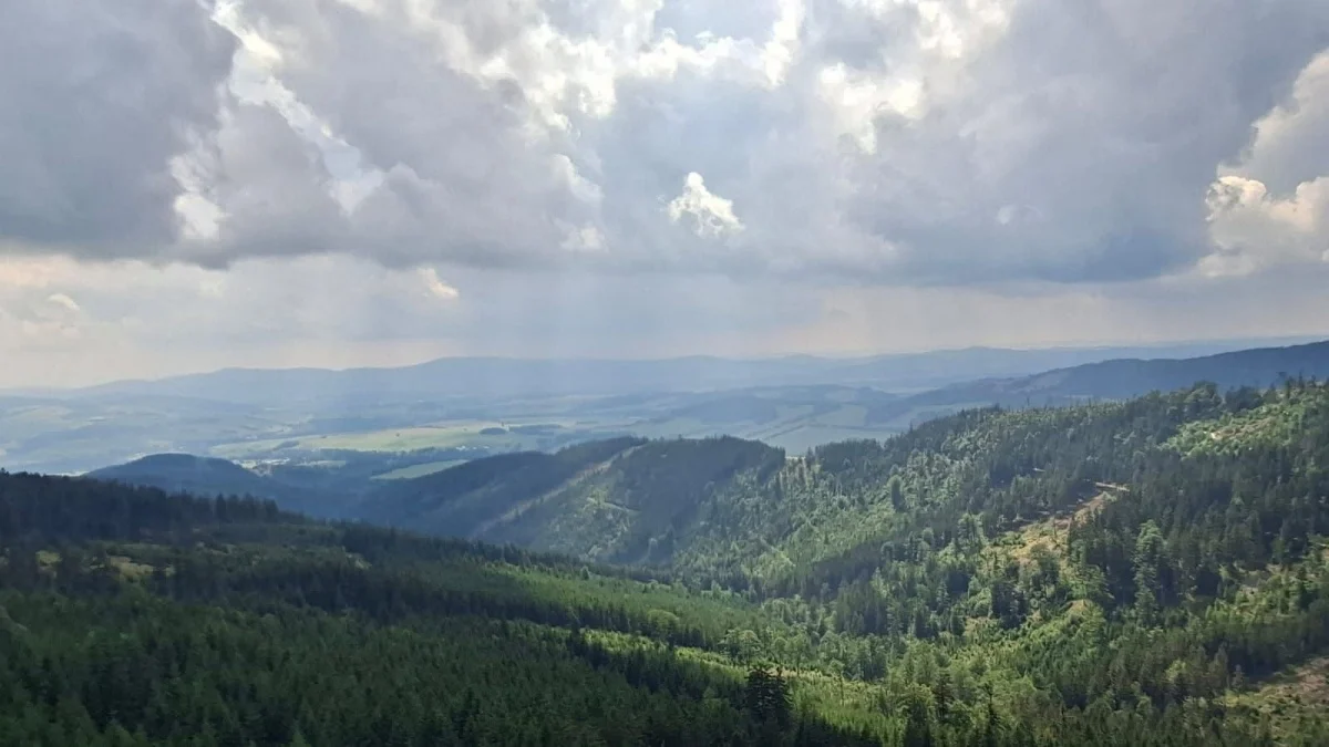 Tak Rudzianie spędzają wakacje / fot. Czytelnicy